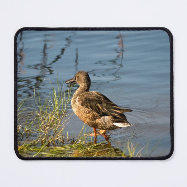 Item preview, Shy Shoveler Looking Away designed and sold by Debra Martz.