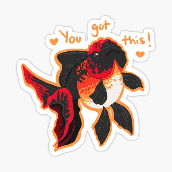 Oranda Stickers Redbubble