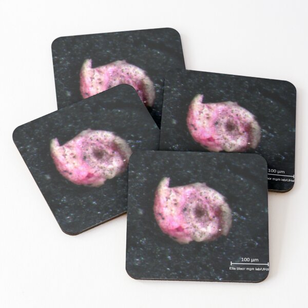 Item preview, Pink foram from the Dead sea  designed and sold by A grain of sand.