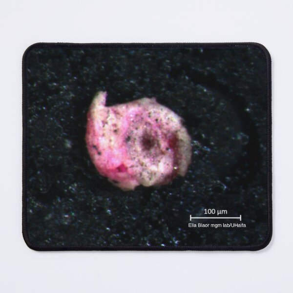 Item preview, Pink foram from the Dead sea designed and sold by A grain of sand.