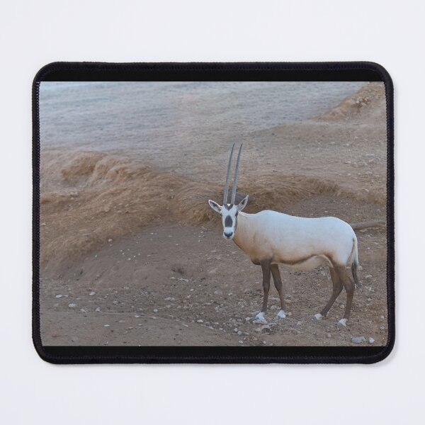 Item preview, Arabian Oryx Eye Contact - Desert Heritage Wildlife Portrait designed and sold by AbulailArt.