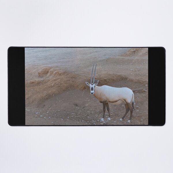 Item preview, Arabian Oryx Eye Contact - Desert Heritage Wildlife Portrait designed and sold by AbulailArt.