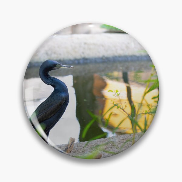 Item preview, Majestic Black Cormorant - Serene Water Bird Nature Photography designed and sold by AbulailArt.
