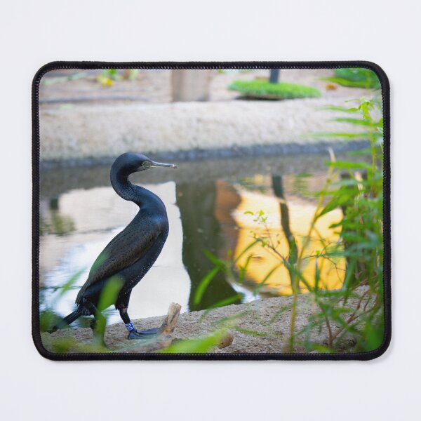Item preview, Majestic Black Cormorant - Serene Water Bird Nature Photography designed and sold by AbulailArt.