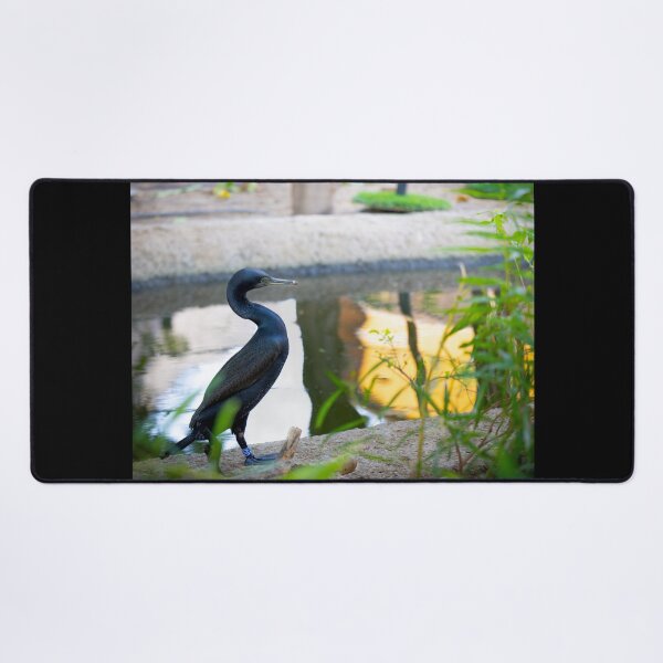 Item preview, Majestic Black Cormorant - Serene Water Bird Nature Photography designed and sold by AbulailArt.