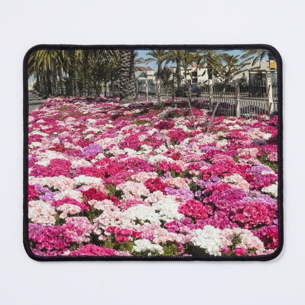 Item preview, Israel, Maale Adumim. Flowers. designed and sold by UltraQuirky.