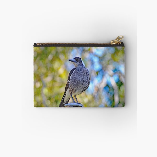 Item preview, © Australian Magpie designed and sold by GeoPipics.