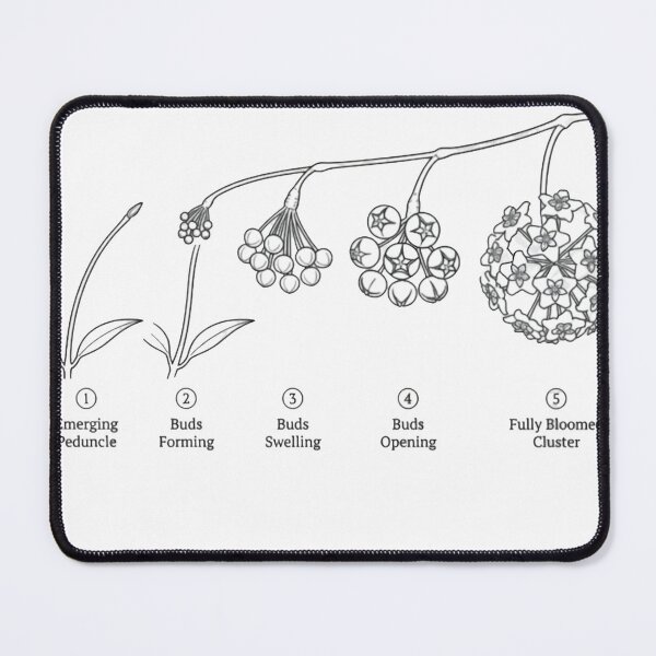 Item preview, Hoya Bloom Countdown - Worth the Wait - Hoya Collector Plant Lover Gift designed and sold by TrendyTravel.