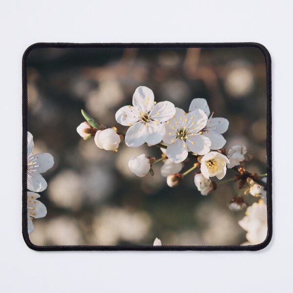 Item preview, Cherry Blossom Glow designed and sold by AKI | Art Kode of Imagination.