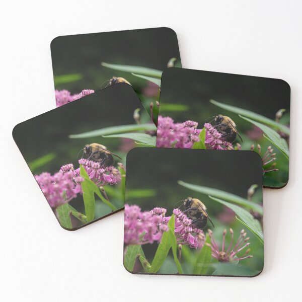 Item preview, Polinating Bumblebee on Pink Milkweed designed and sold by kngfrank.