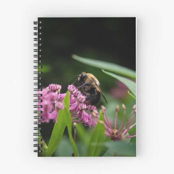Item preview, Polinating Bumblebee on Pink Milkweed designed and sold by kngfrank.