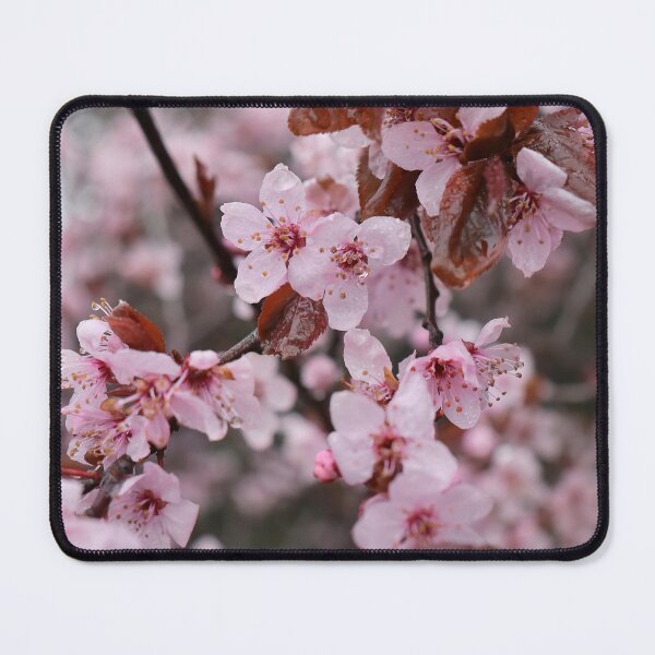 Item preview, Pink Blossom in the Rain designed and sold by AKI | Art Kode of Imagination.