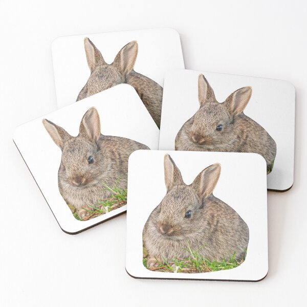 Item preview, Baby Rabbit designed and sold by Dalyndigital Photography.