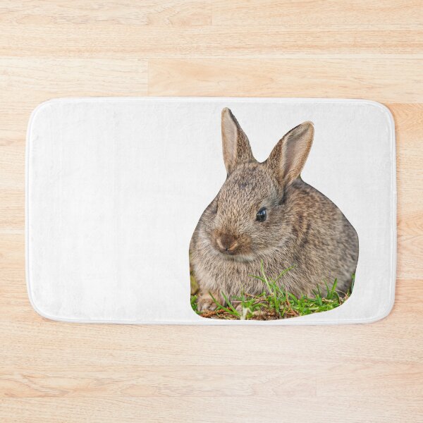 Item preview, Baby Rabbit designed and sold by Dalyndigital Photography.