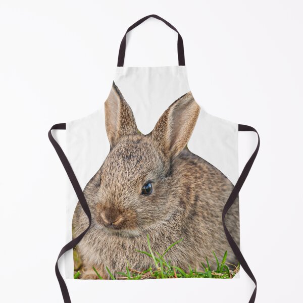Item preview, Baby Rabbit designed and sold by Dalyndigital Photography.