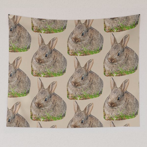 Item preview, Baby Rabbit designed and sold by Dalyndigital Photography.