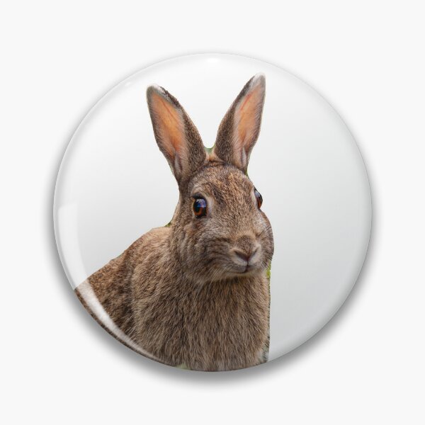 Item preview, Rabbit on alert designed and sold by Dalyndigital Photography.