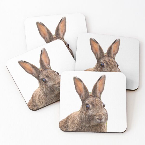 Item preview, Rabbit on alert designed and sold by Dalyndigital Photography.