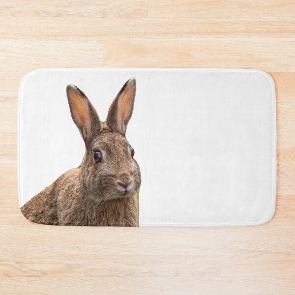 Item preview, Rabbit on alert designed and sold by Dalyndigital Photography.