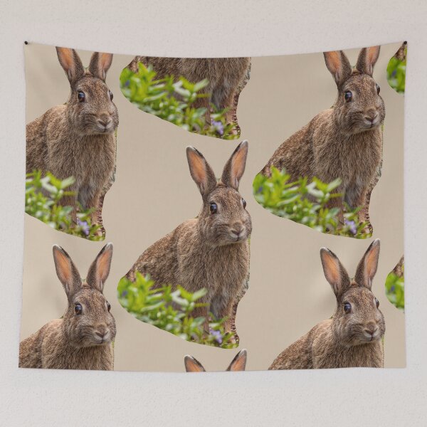Item preview, Rabbit on alert designed and sold by Dalyndigital Photography.