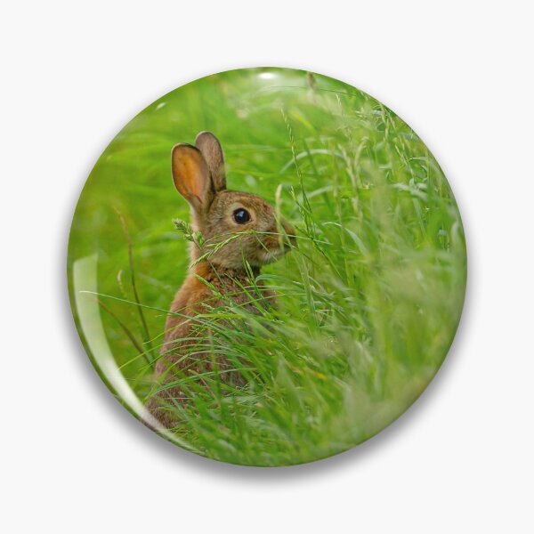 Item preview, Cute Young Rabbit hiding in the grass designed and sold by Dalyndigital Photography.