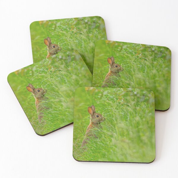 Item preview, Cute Young Rabbit hiding in the grass designed and sold by Dalyndigital Photography.