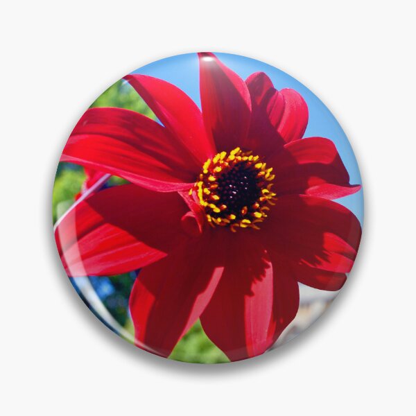 Item preview, Red Dahila Summer Flowering Plant designed and sold by AndyEvansPhotos.