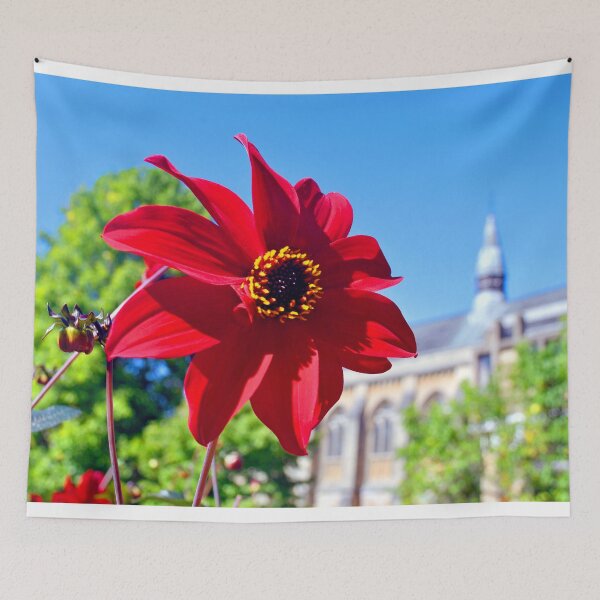 Item preview, Red Dahila Summer Flowering Plant designed and sold by AndyEvansPhotos.