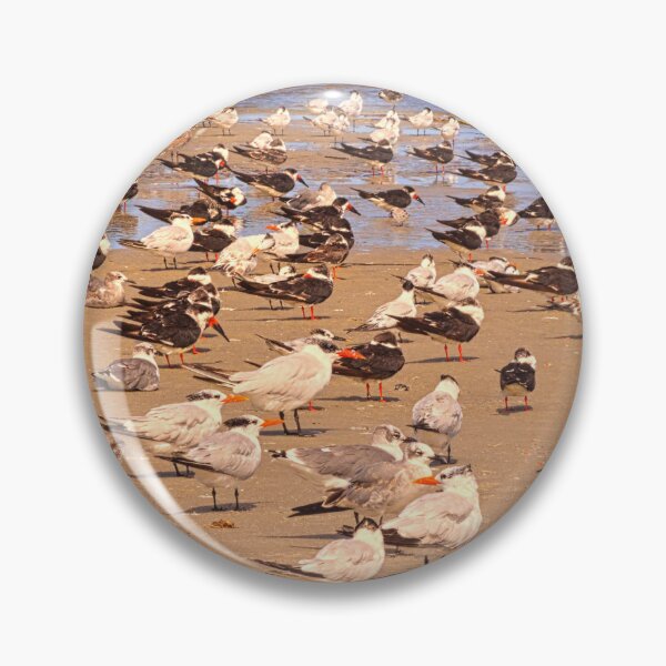 Item preview, Hilton Head Traffic Jam designed and sold by LisaWootenPhoto.