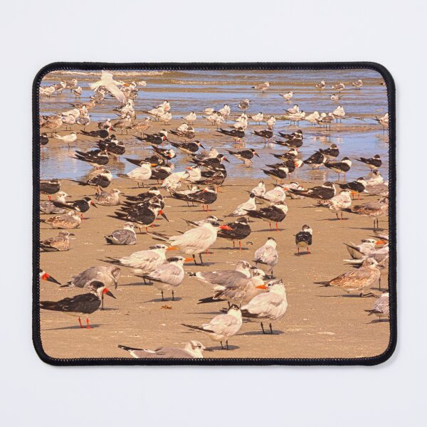 Item preview, Hilton Head Traffic Jam designed and sold by LisaWootenPhoto.