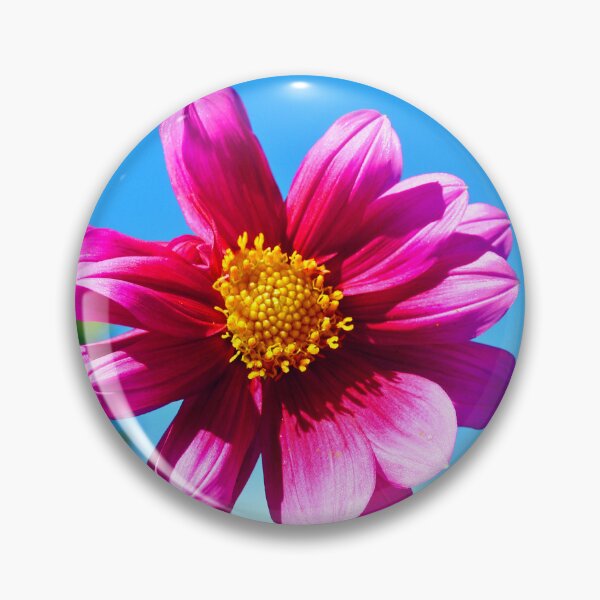 Item preview, Purple Pink Dahila Summer Flowering Plant designed and sold by AndyEvansPhotos.