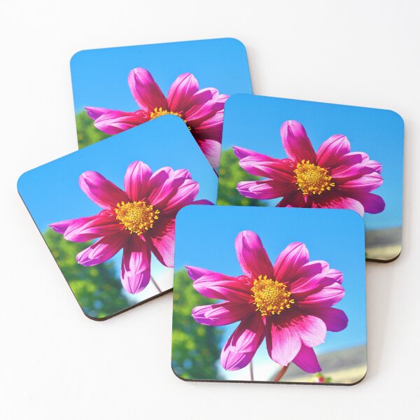 Item preview, Purple Pink Dahila Summer Flowering Plant designed and sold by AndyEvansPhotos.