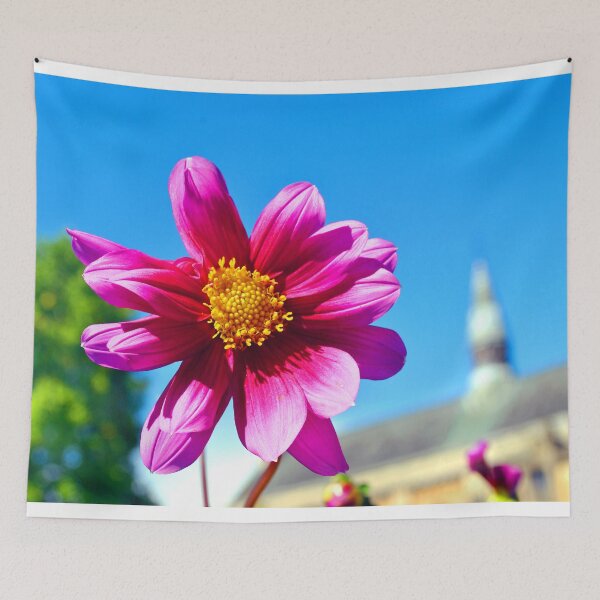 Item preview, Purple Pink Dahila Summer Flowering Plant designed and sold by AndyEvansPhotos.