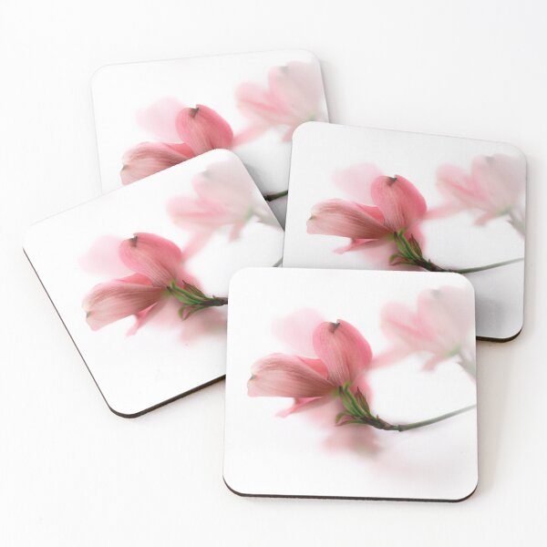Item preview, Flowering Dogwood | Cornus florida Soft Pink Bloom designed and sold by kngfrank.