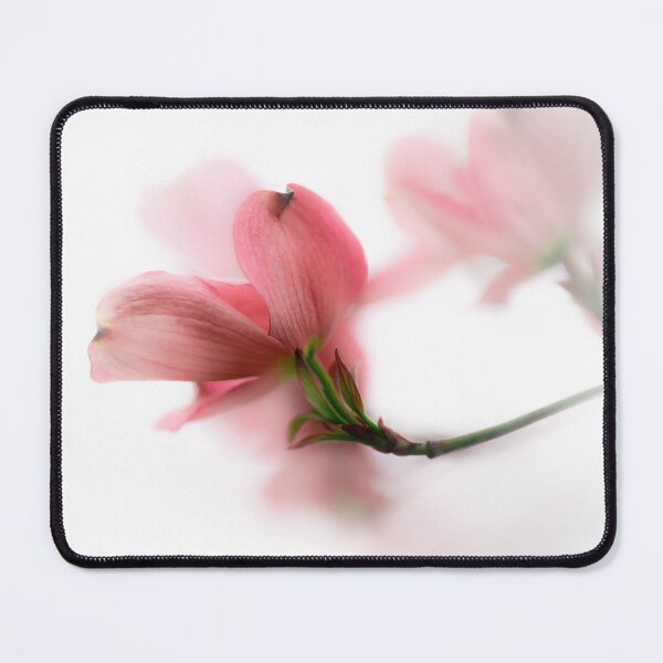 Item preview, Flowering Dogwood | Cornus florida Soft Pink Bloom designed and sold by kngfrank.