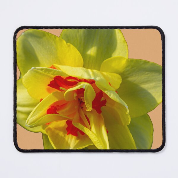 Item preview, Orange and Yellow daffodil designed and sold by Dalyndigital Photography.