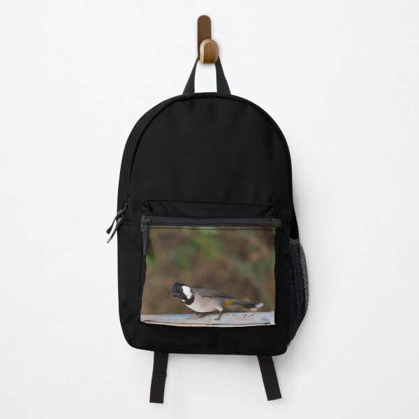 Item preview, White-cheeked Bulbul Portrait - Tropical Bird Nature Photography designed and sold by AbulailArt.