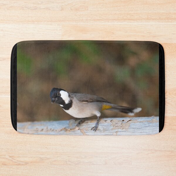 Item preview, White-cheeked Bulbul Portrait - Tropical Bird Nature Photography designed and sold by AbulailArt.