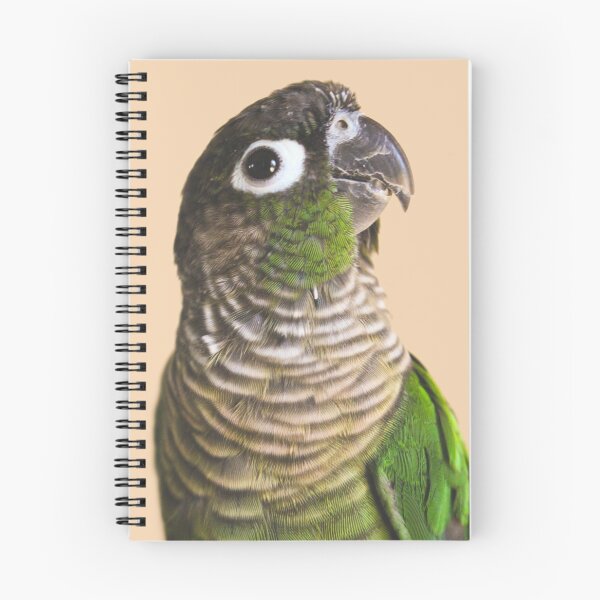 Item preview, Green Cheek Conure designed and sold by shhburd.
