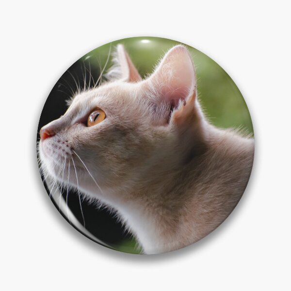 Item preview, Orange Cat Side Profile – Ginger Tabby Close-Up Portrait Photography designed and sold by PYGLegacy.