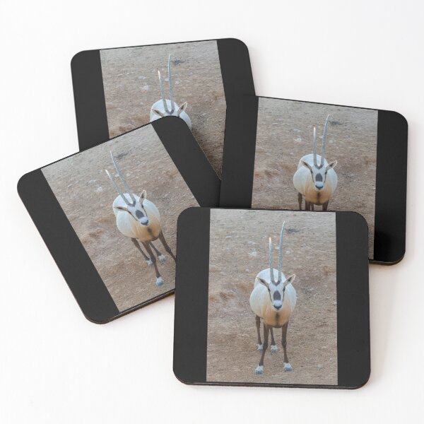 Item preview, Stunning Arabian Oryx Face-to-Face - Desert Heritage Wildlife Portrait designed and sold by AbulailArt.