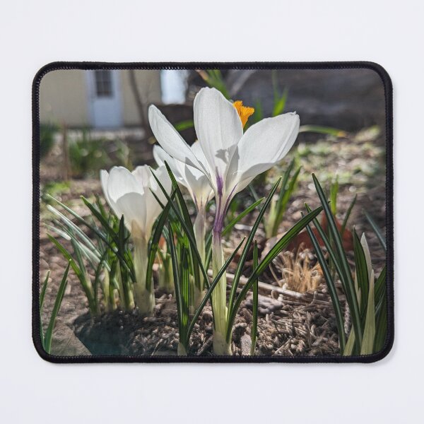 Item preview, Spring’s First Whisper designed and sold by Jkund19.