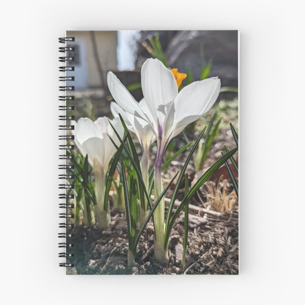 Item preview, Spring’s First Whisper designed and sold by Jkund19.