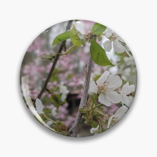 Item preview, The Weeping Cherry White Blossom  designed and sold by Jkund19.
