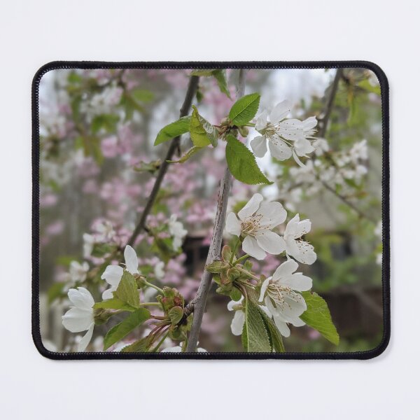 Item preview, The Weeping Cherry White Blossom designed and sold by Jkund19.