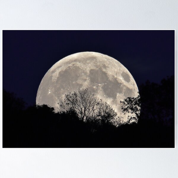 Item preview, Silhouette Moonrise designed and sold by Susan Snow Photography and Design.