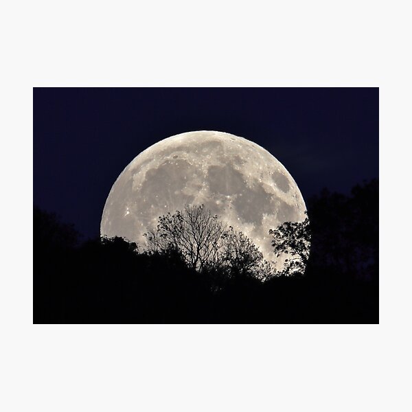 Item preview, Silhouette Moonrise designed and sold by Susan Snow Photography and Design.