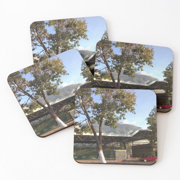 Item preview, Caracas: Between Rails and Branches designed and sold by Yesskathe.
