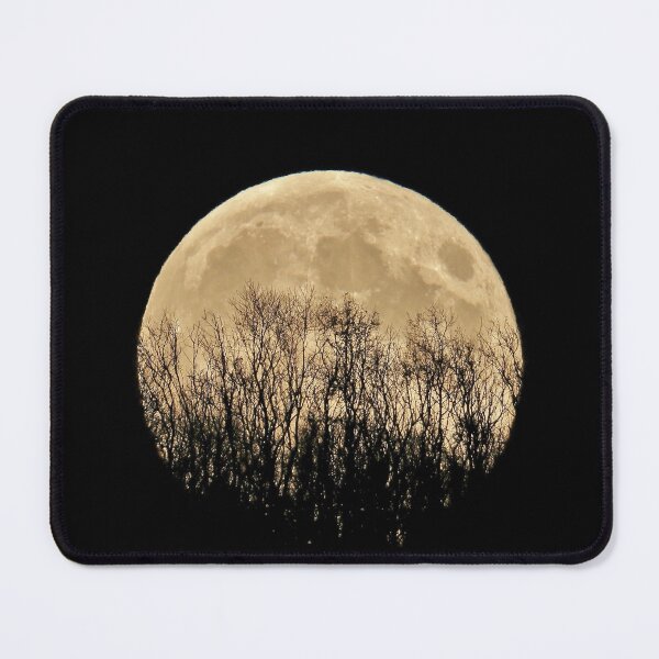 Item preview, Golden Full Moon Rising Behind Trees designed and sold by Susan Snow Photography and Design.