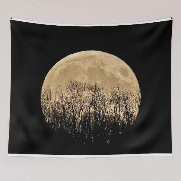 Item preview, Golden Full Moon Rising Behind Trees designed and sold by Susan Snow Photography and Design.